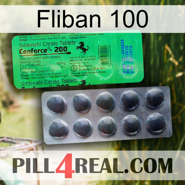 Fliban 100 new04